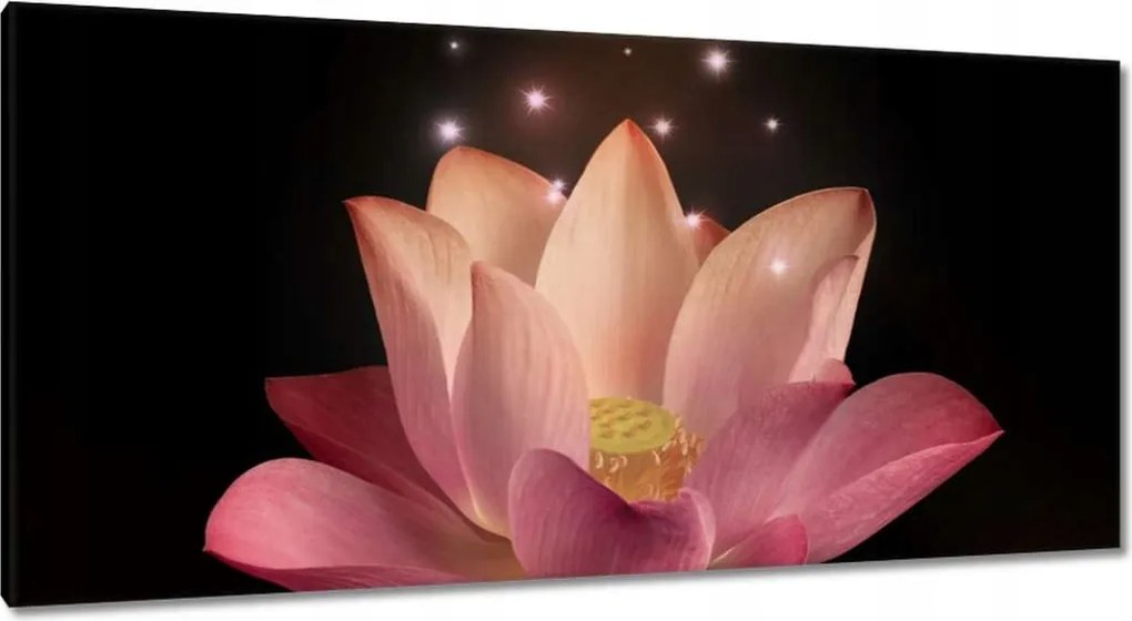 Vászonkép 115x55 Rózsaszín lótuszvirág