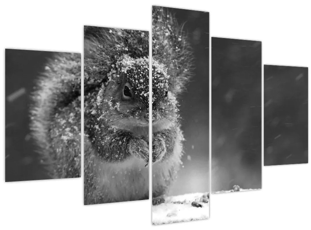 Kép - Mókus télen (150x105 cm)