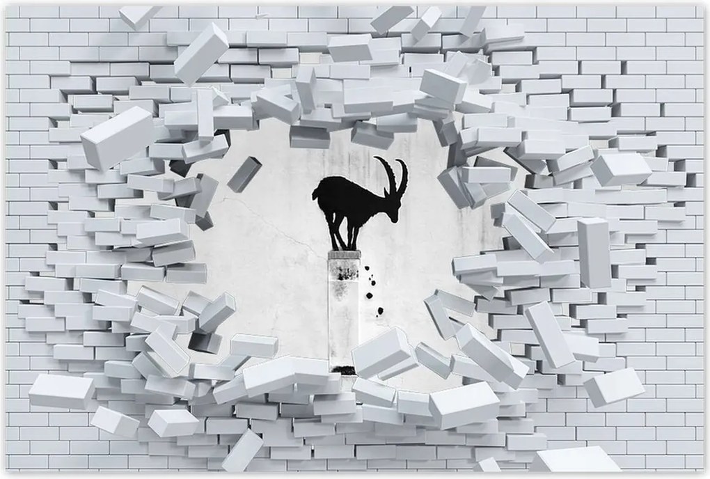 Poszterek 60x40 Kozica Banksy Hegyi gazella Nincs magánélet Falfestmény