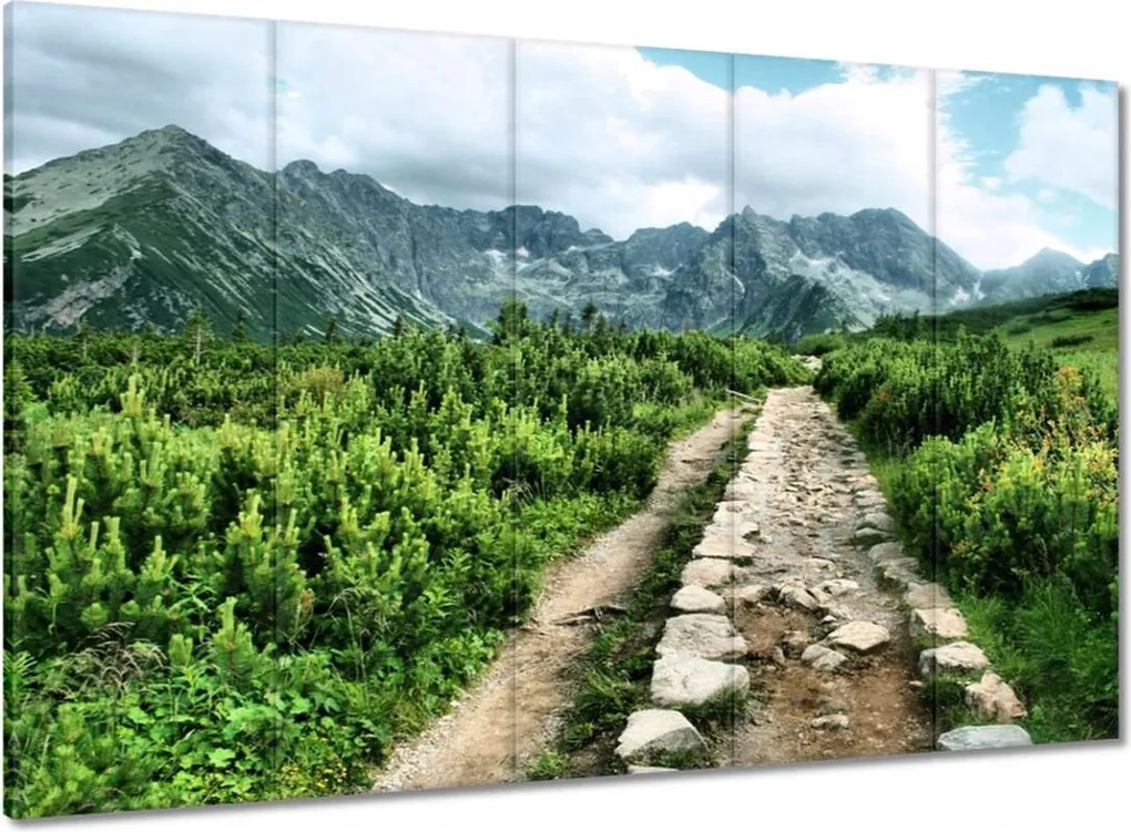 Vászonkép 100x70 Kő út Tátra