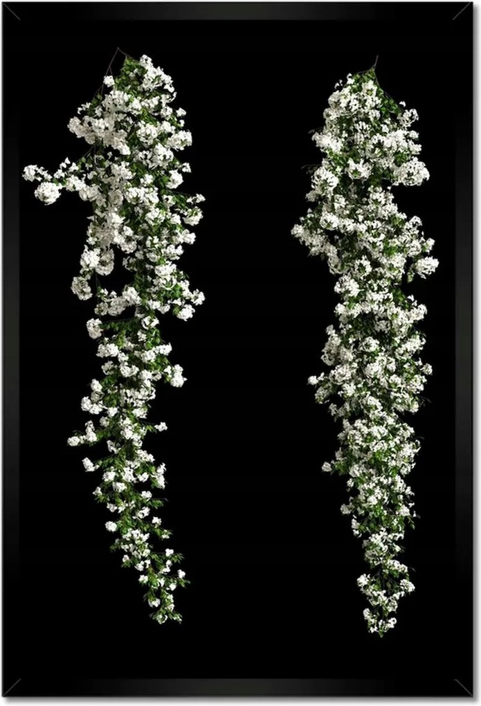 Poszter keretben 40x60 Fehér virágok Bugenwilla