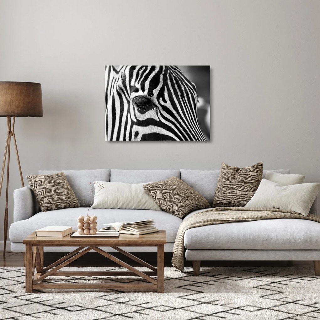 Zebra képe (üvegen) (70x50 cm)