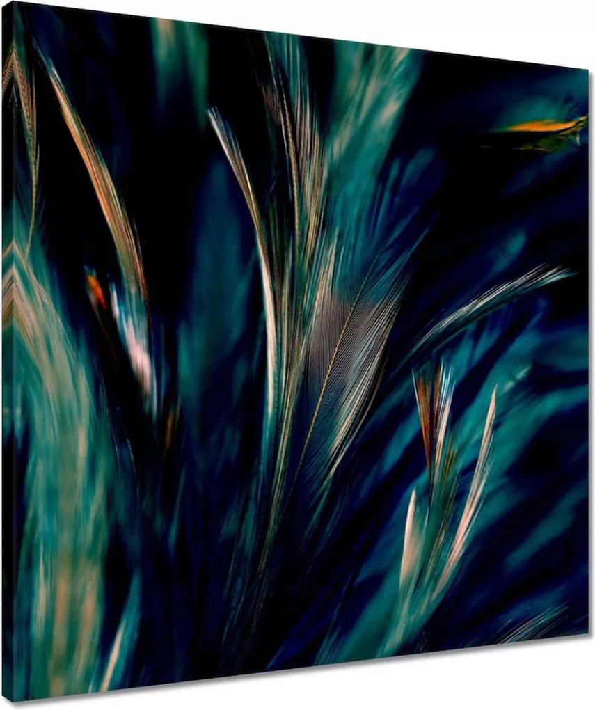 Vászonkép 50x50 Puha pávatollak