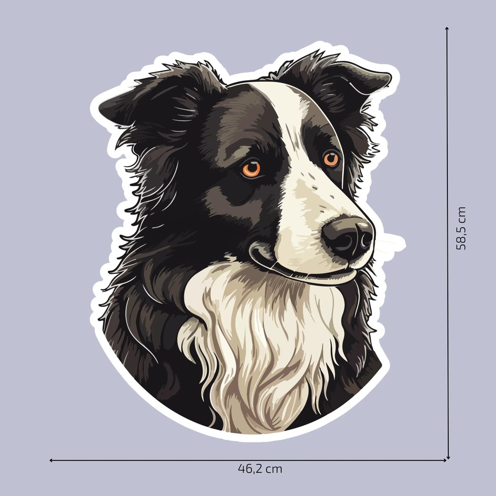 PIPPER. Matrica Border collie Méret: 15cm