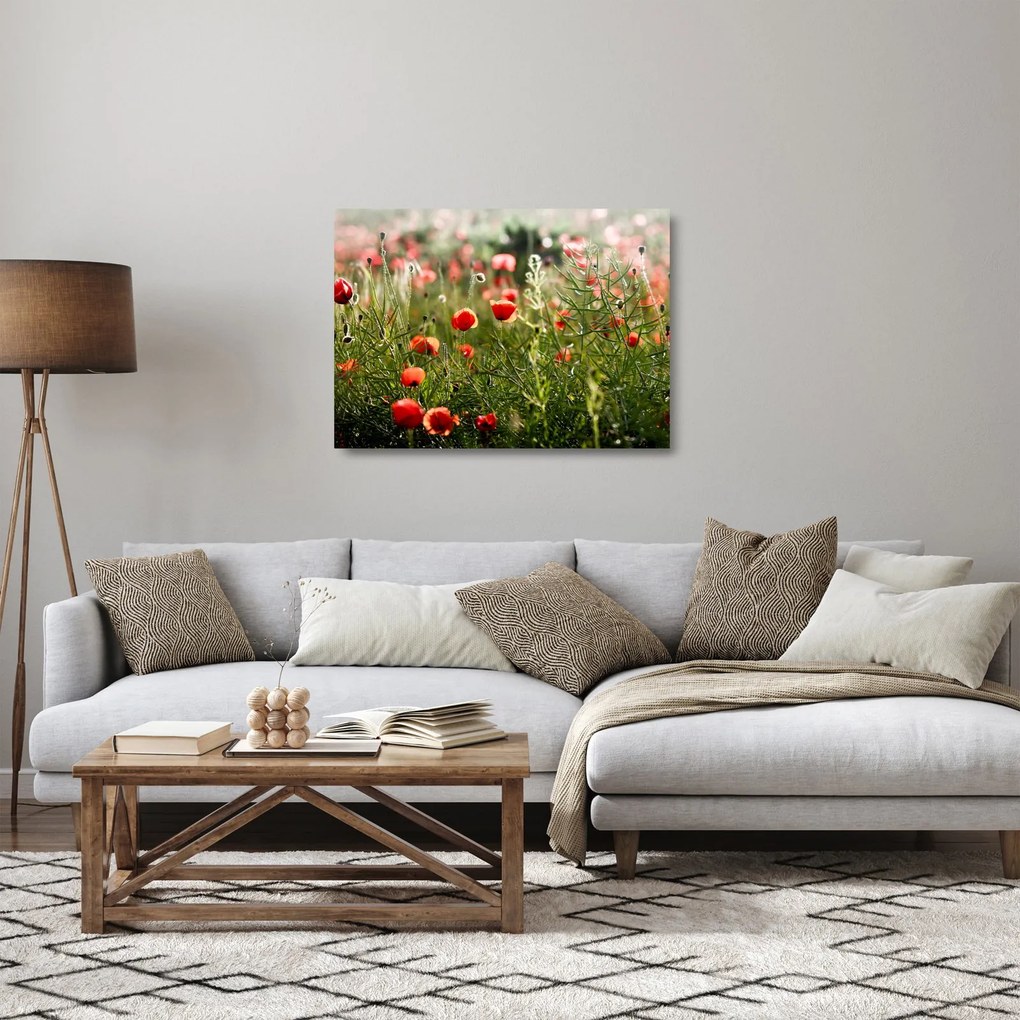 Pipacsok képe (üvegen) (70x50 cm)
