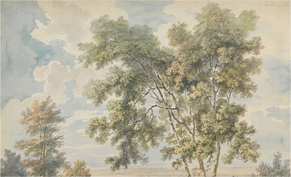 Dekoratív Fotótapéta Fali Falra Romantikus természet 416x254 Ragasztó