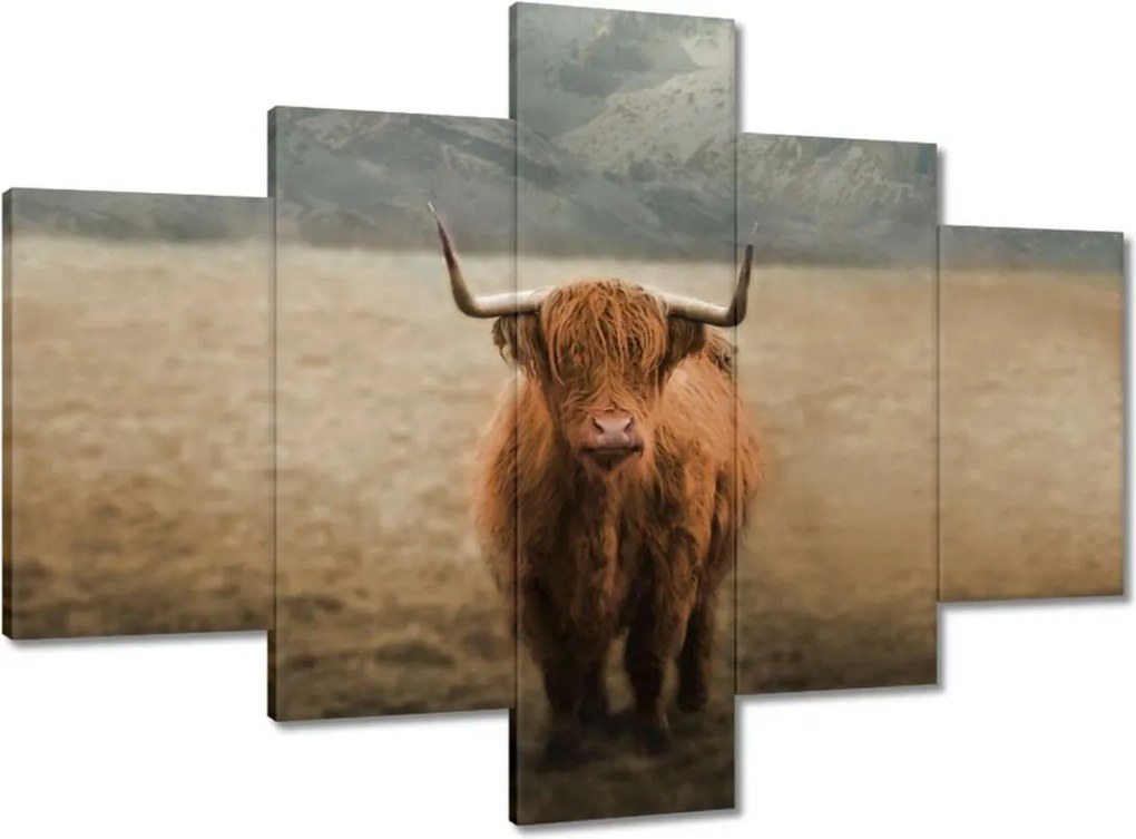 Vászonkép 100x70 Mint szarvasmarhák Szarvak