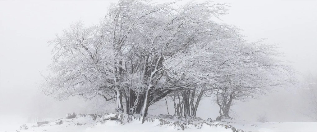 Kép - fehér tél (120x50 cm)