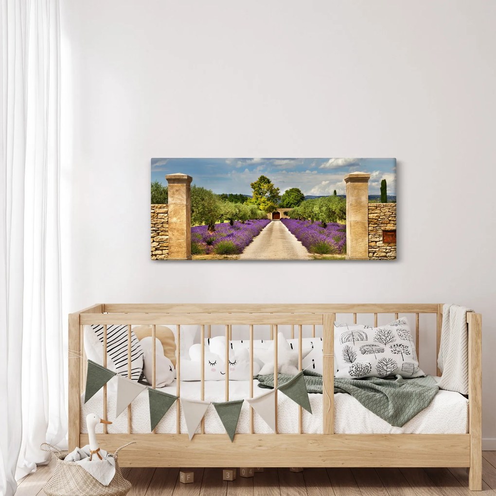 Kép - Levendula ösvények (120x50 cm)