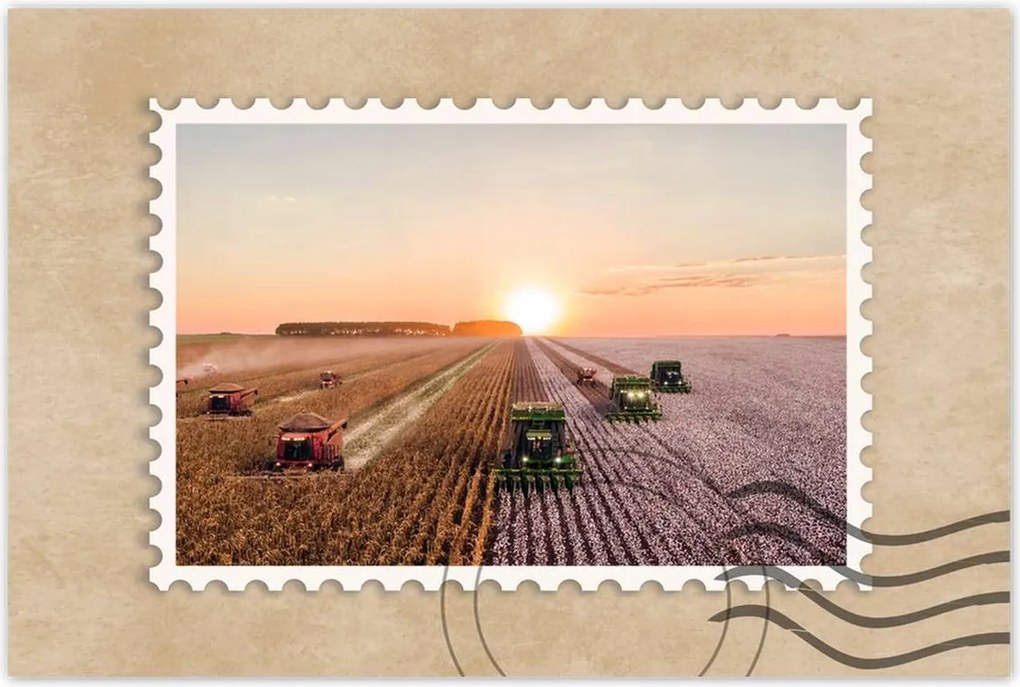 Poszterek 90x60 Aratás Mezőgazdaság Kombájn