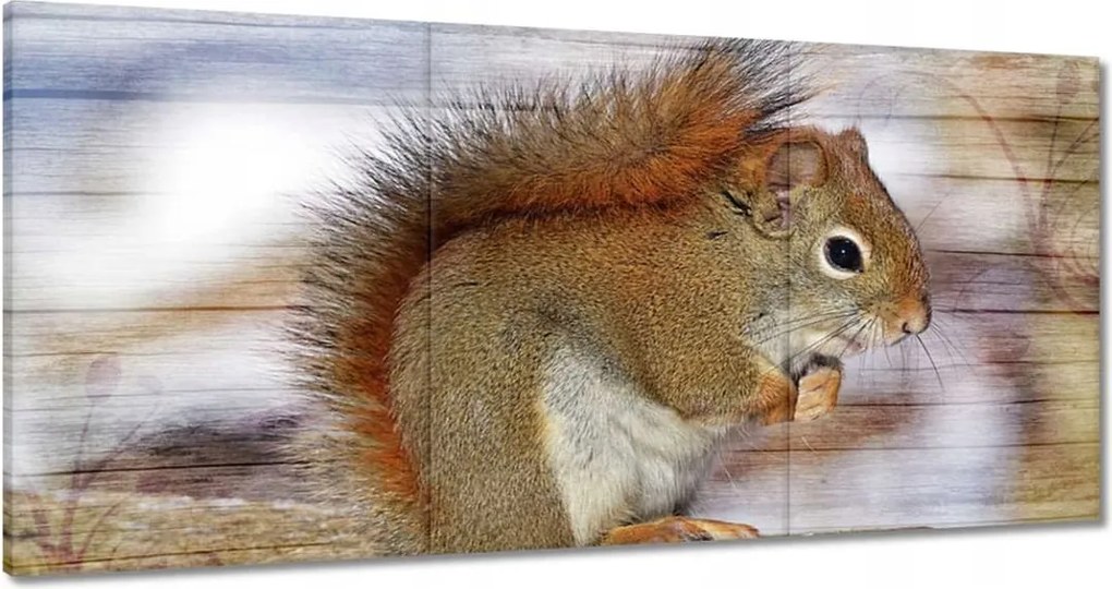 Festmények 180x90 Mókus