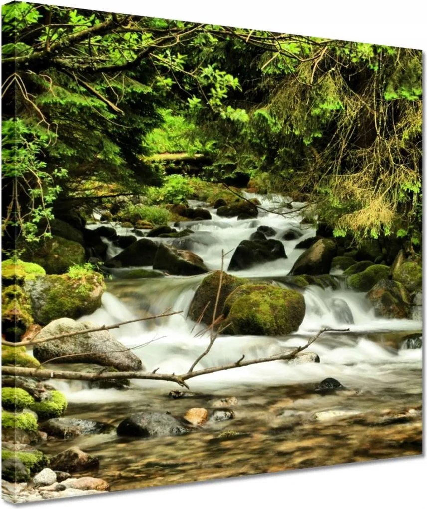 Vászonkép 30x30 Patak a hegyekben