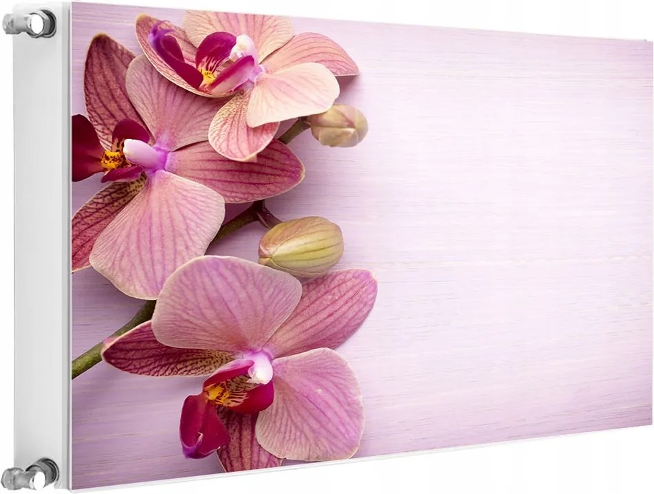 Radiátormágnes Radiátor 80x60 Orchidea Fotótapéta