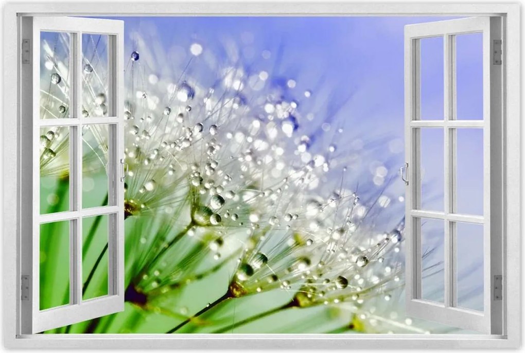 Poszterek 90x60 Pitypang harmatcseppek