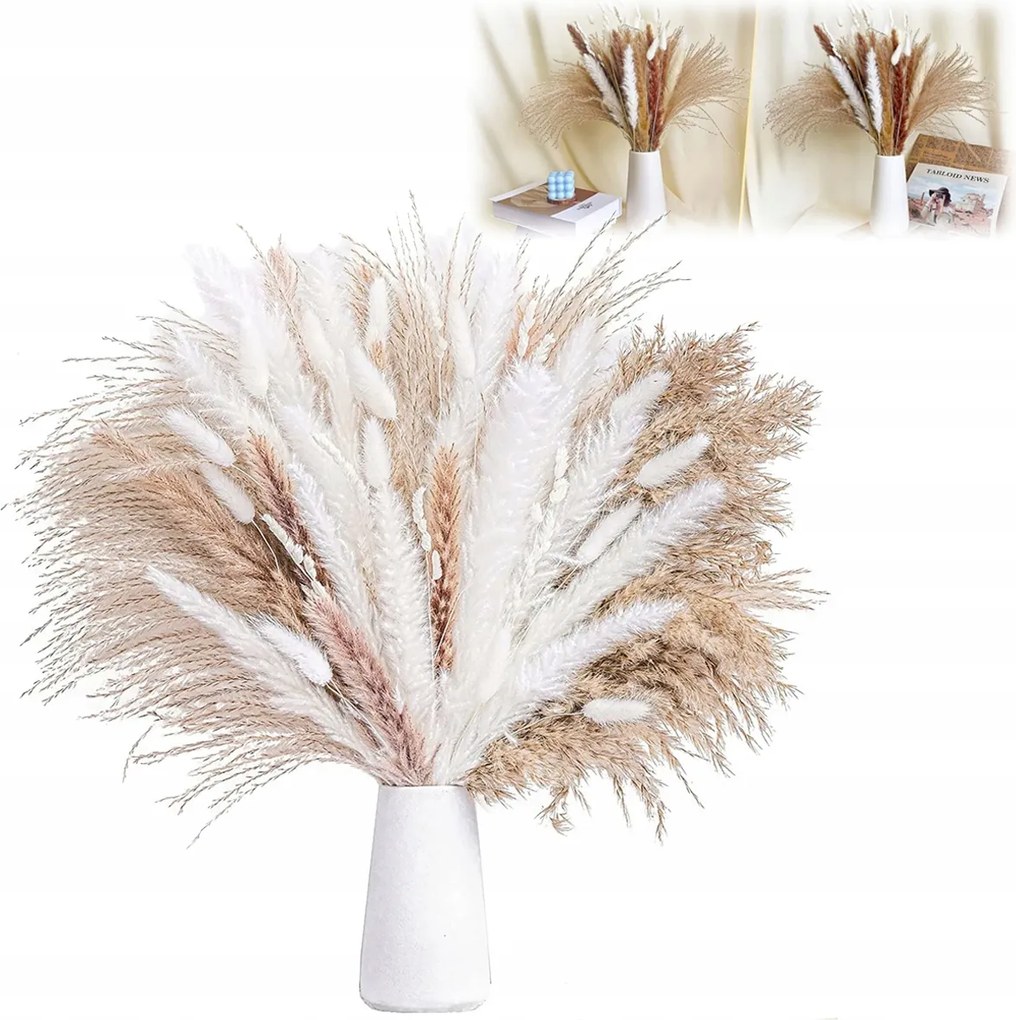 Pampas fű Premium Lux 80cm szárított natúr bézs