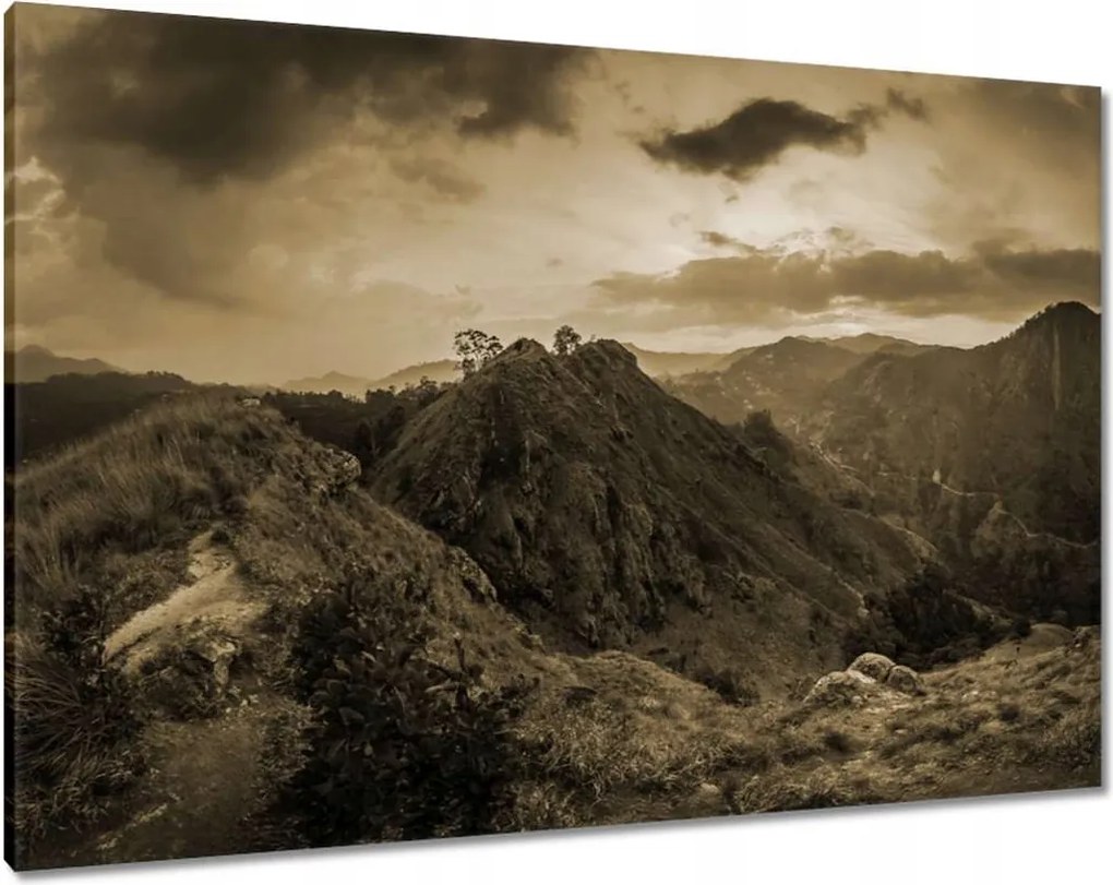 Vászonképek 100x70 Barna tájkép Tájkép