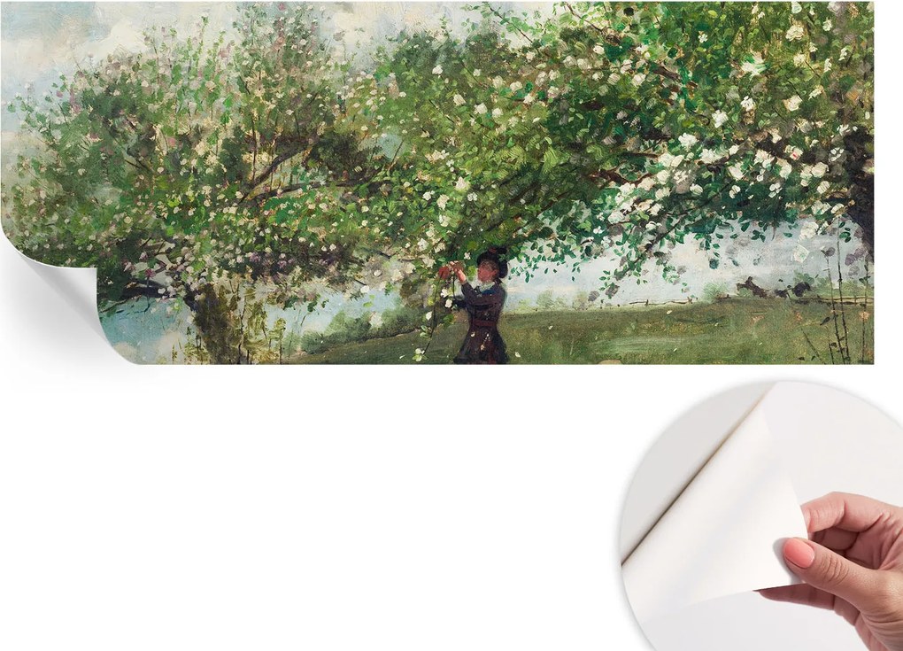 Dekoratív öntapadós fotótapéta irodába Tavaszi jelenet 250x104 cm