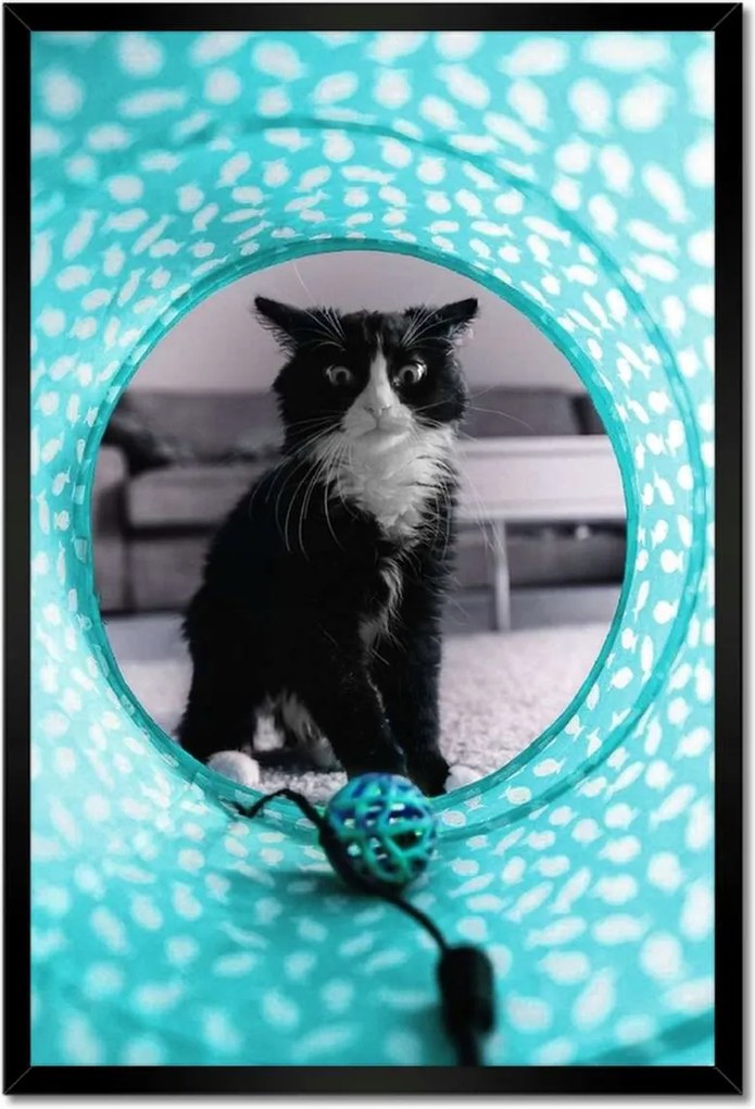 Poszterek keretben 40x60