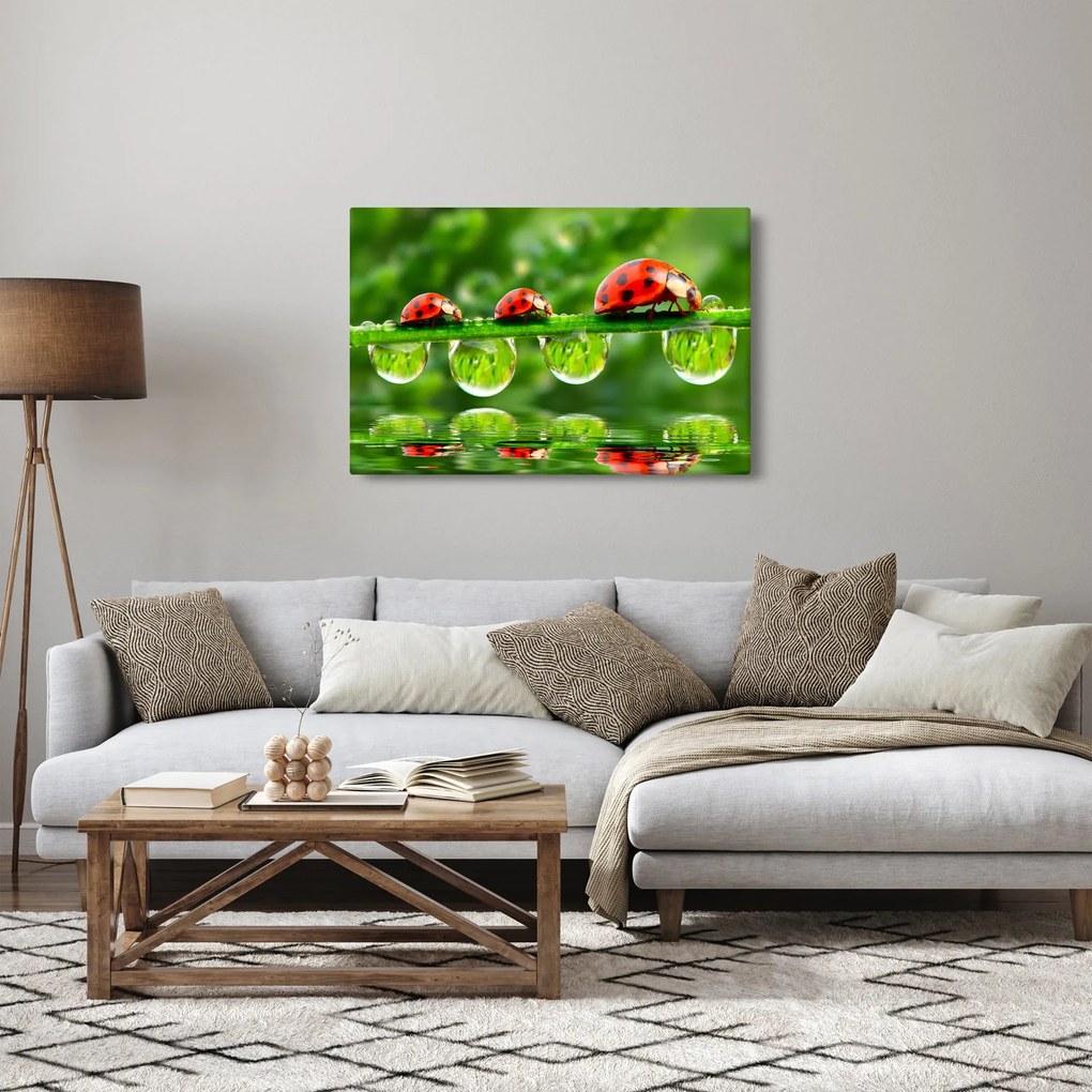 Kép - A hét nap napfénye (90x60 cm)