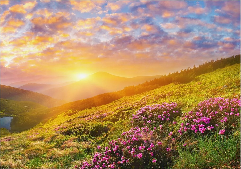 Divatos Flizelin Tapéta Ragasztóval Fali 3D Hegyi nyugat 208x146 Ragasztó