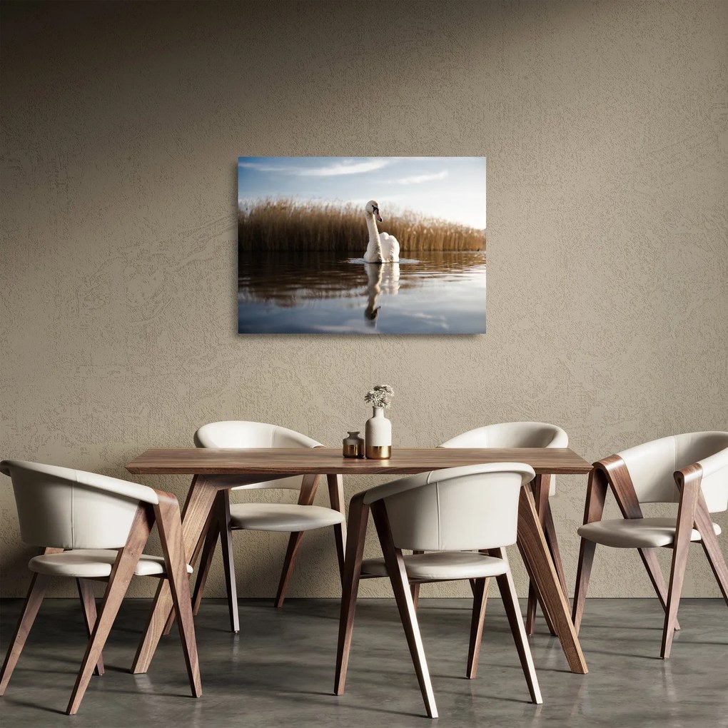 Hattyú képe (üvegen) (70x50 cm)