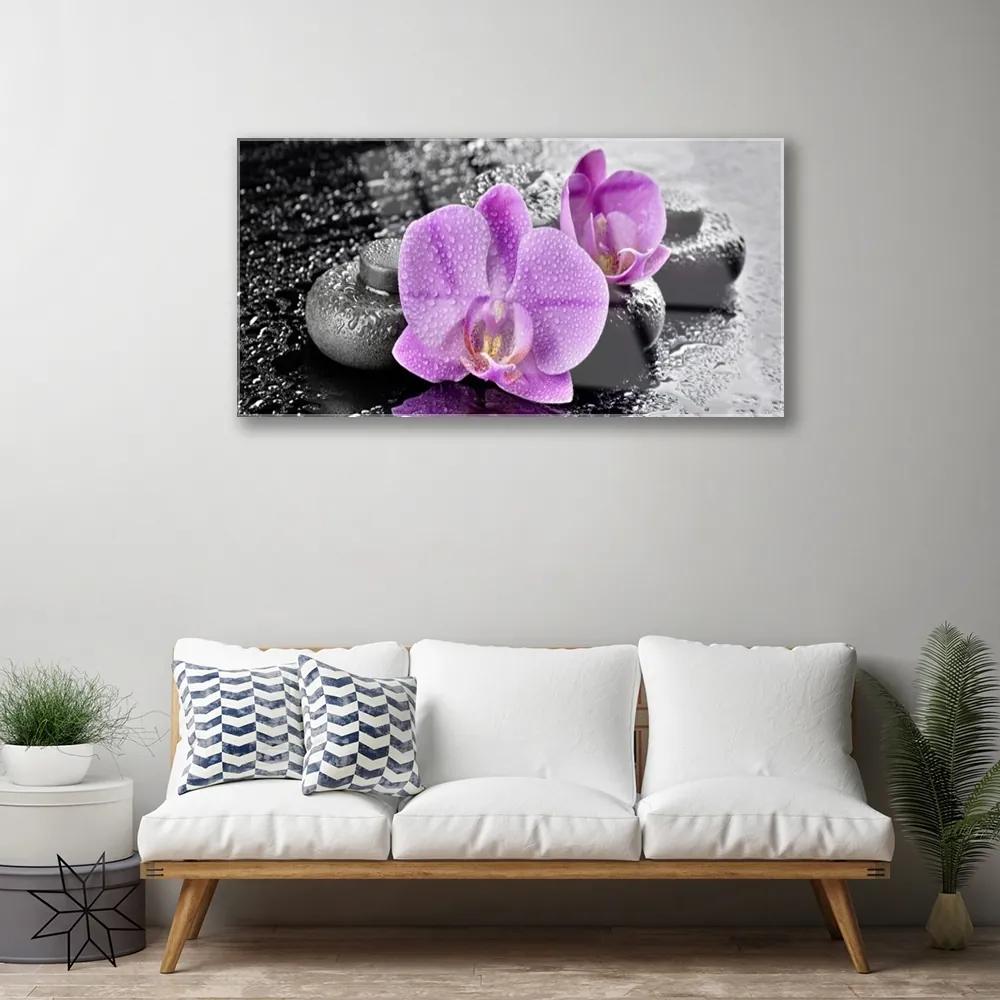 Üvegkép Orchidea virágok orchidea Spa 125x50 cm