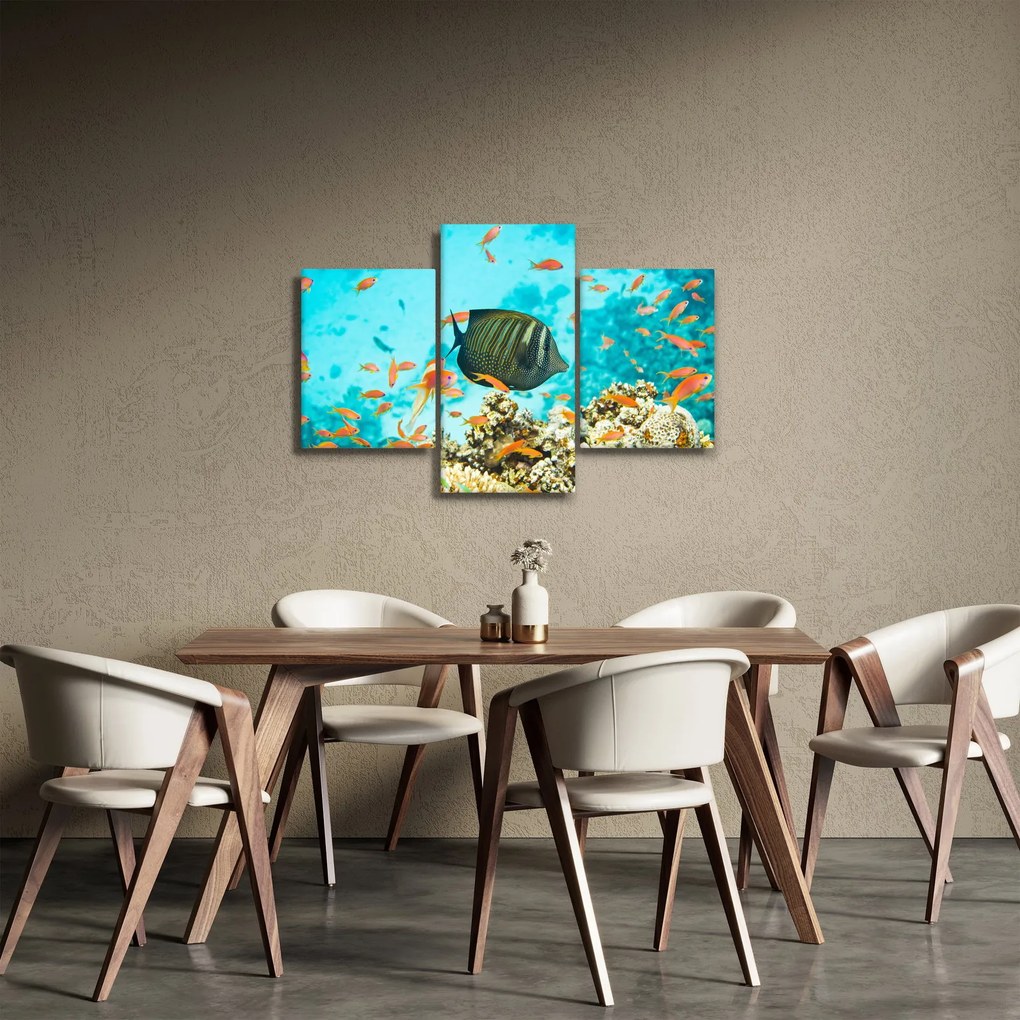 A víz alatti világ képe (90x60 cm)
