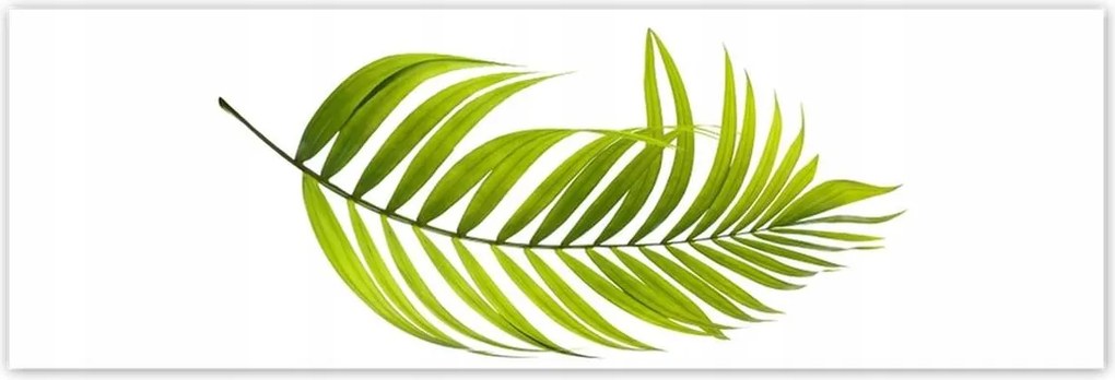 Poszterek 200x66 Zöld levél Minimalizmus