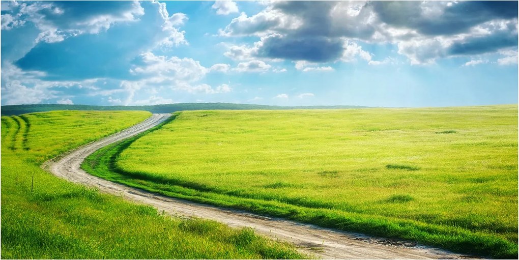 Fotótapéta üvegfalra Ösvény a réten 140x70