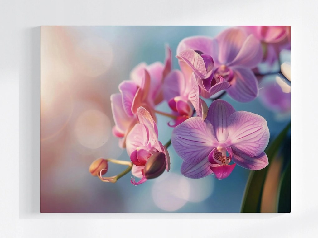 Poszter Virág Orchidea Természet Zen 100x75