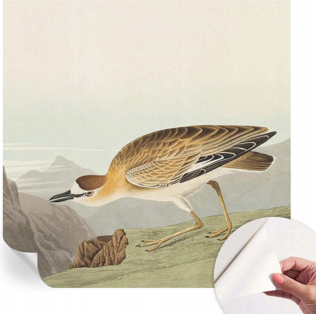 Fotótapéta Fali tapéta Hálószobába és Nappaliba Hegyi madár 250x250 cm