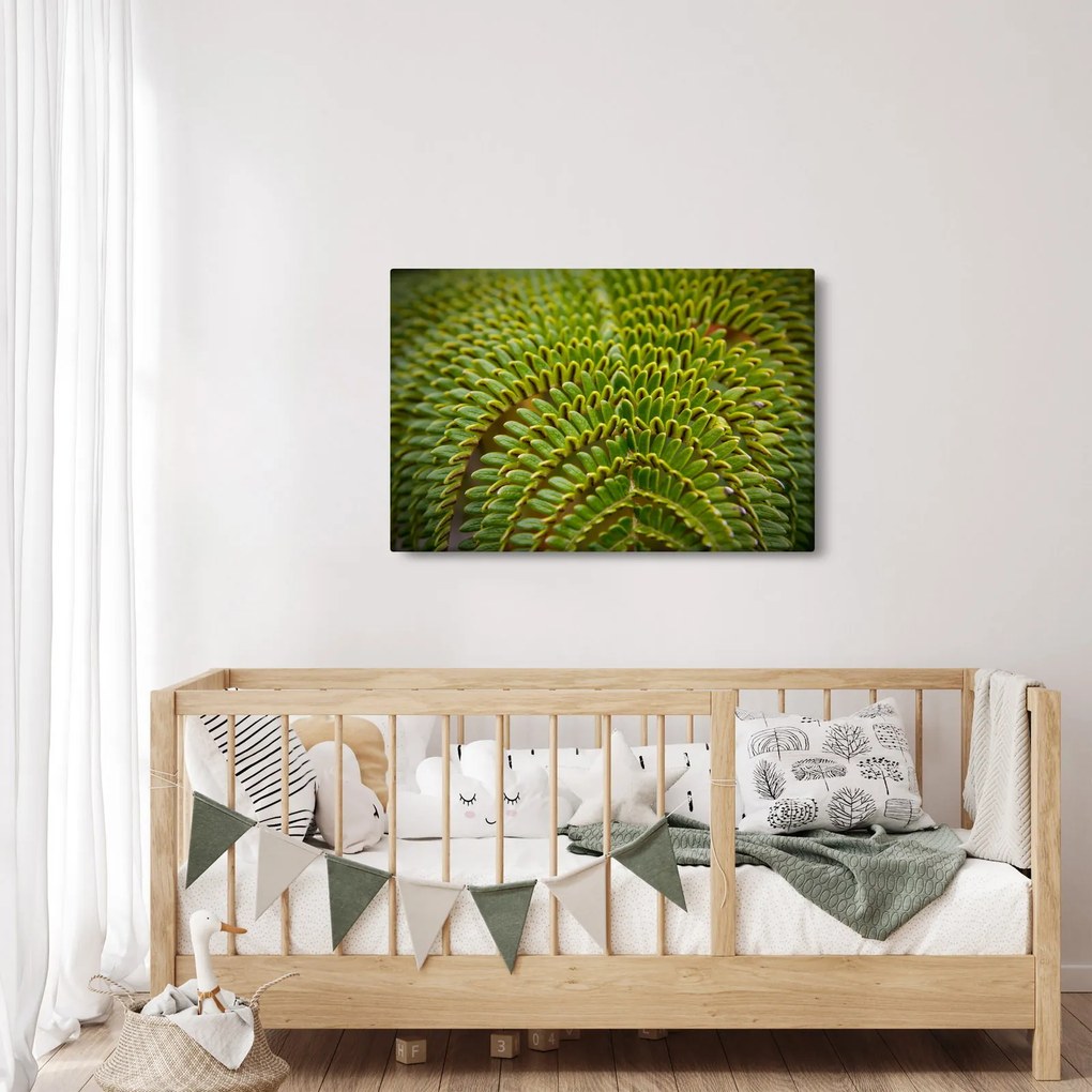 Kép - Fern (90x60 cm)