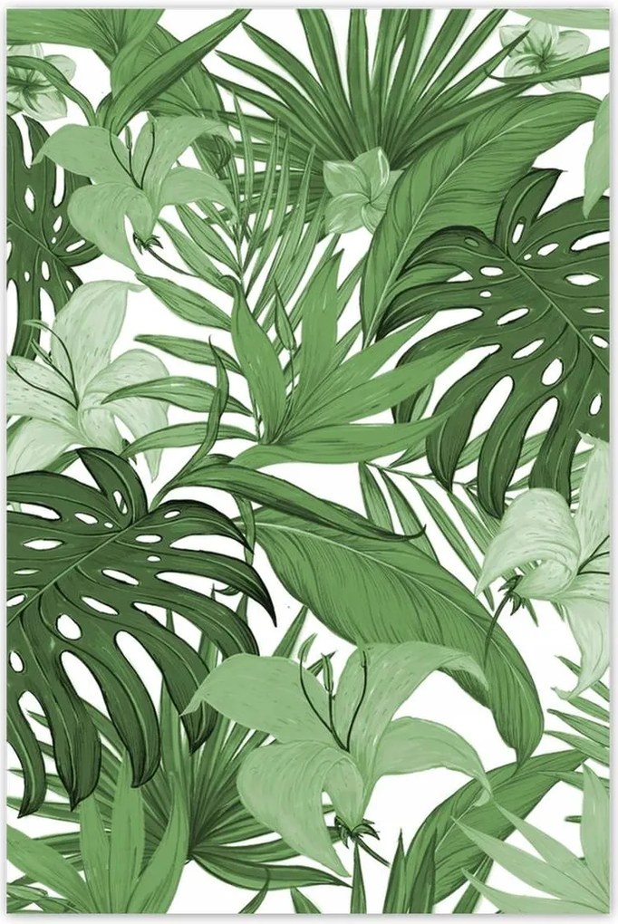 Poszterek 60x90 Monstera Modern minta