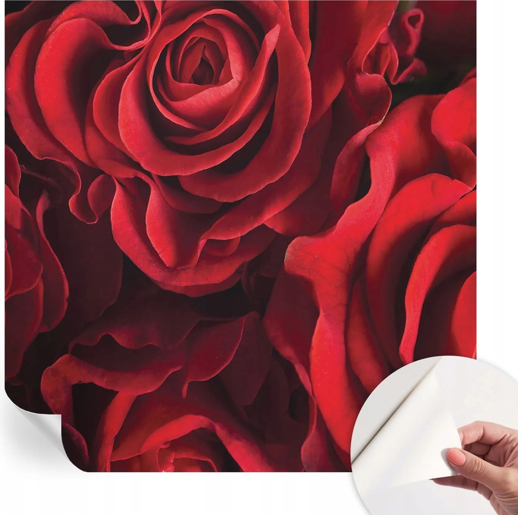 Dekoratív öntapadós fotótapéta Hálószobába Vörös rózsák 250x250 cm