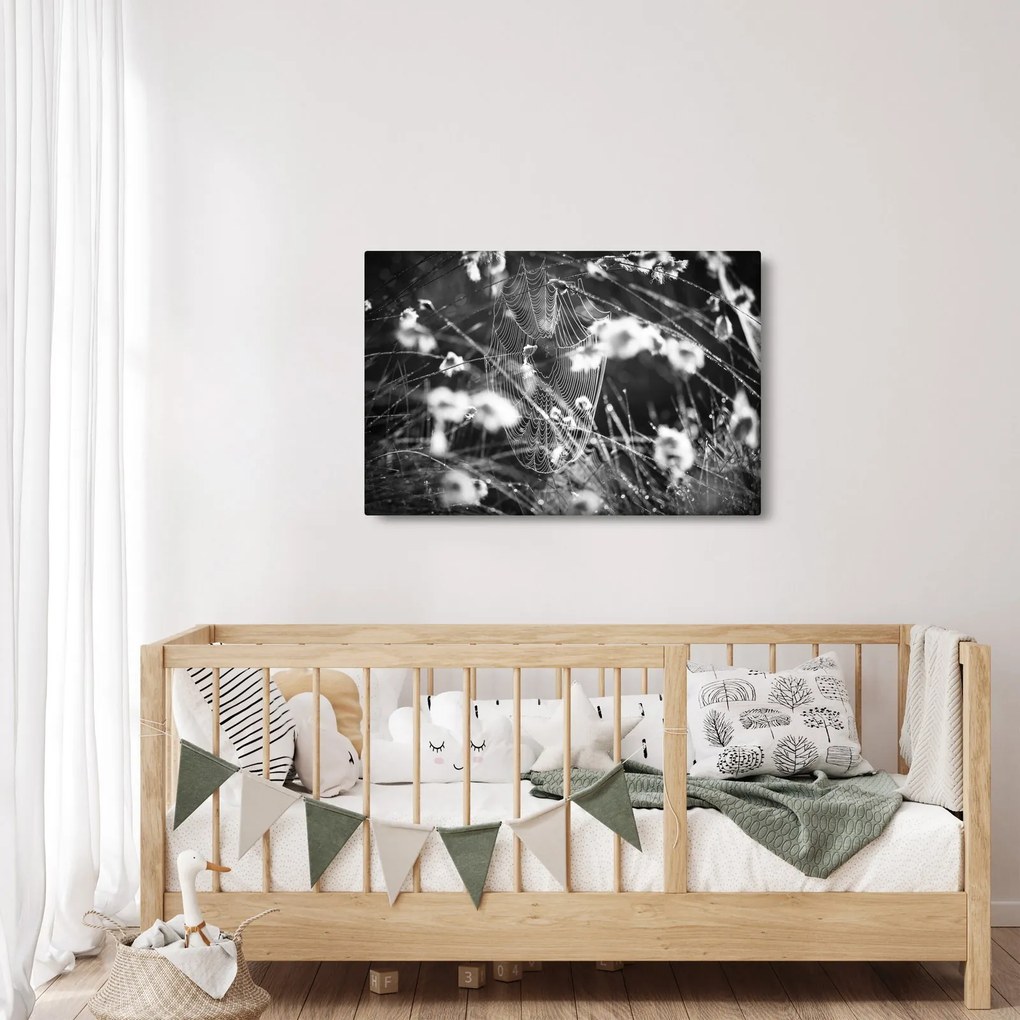 Kép - Pókháló a réten (90x60 cm)