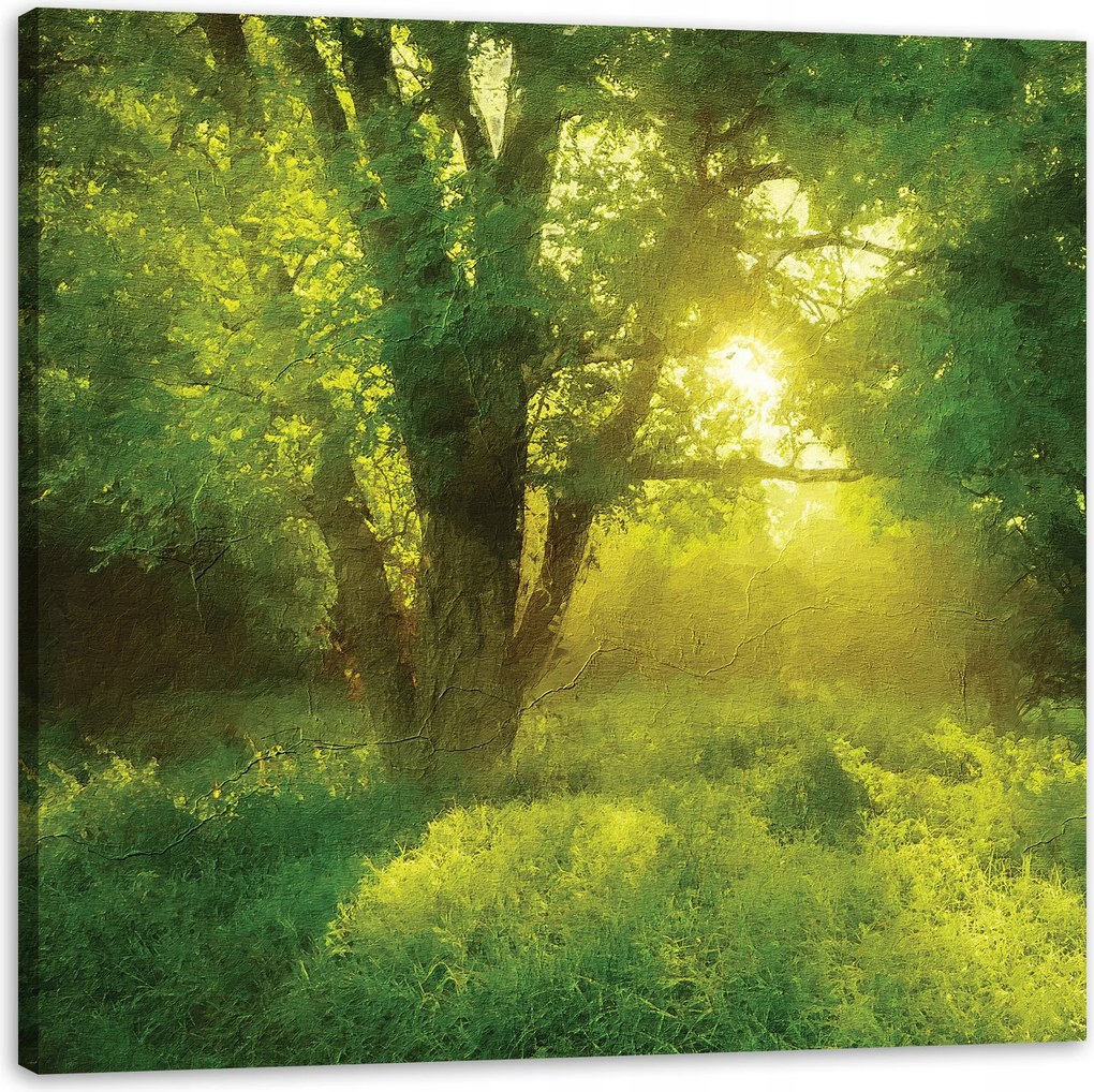 Vászonkép Pasztell Stílus Napfa 80X80 cm Ajándéknak is tökéletes