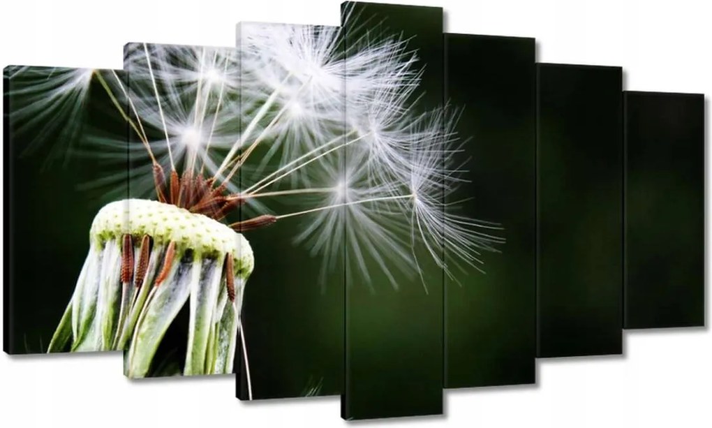 Vászonkép 140x80 Pitypang Virág Virágok