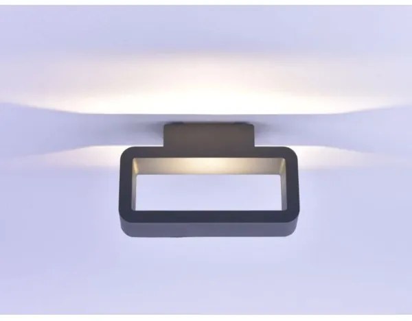 Paul Neuhaus 9668-13 - LED Kültéri fali lámpa HENDRIK LED/5,2W/230V IP54