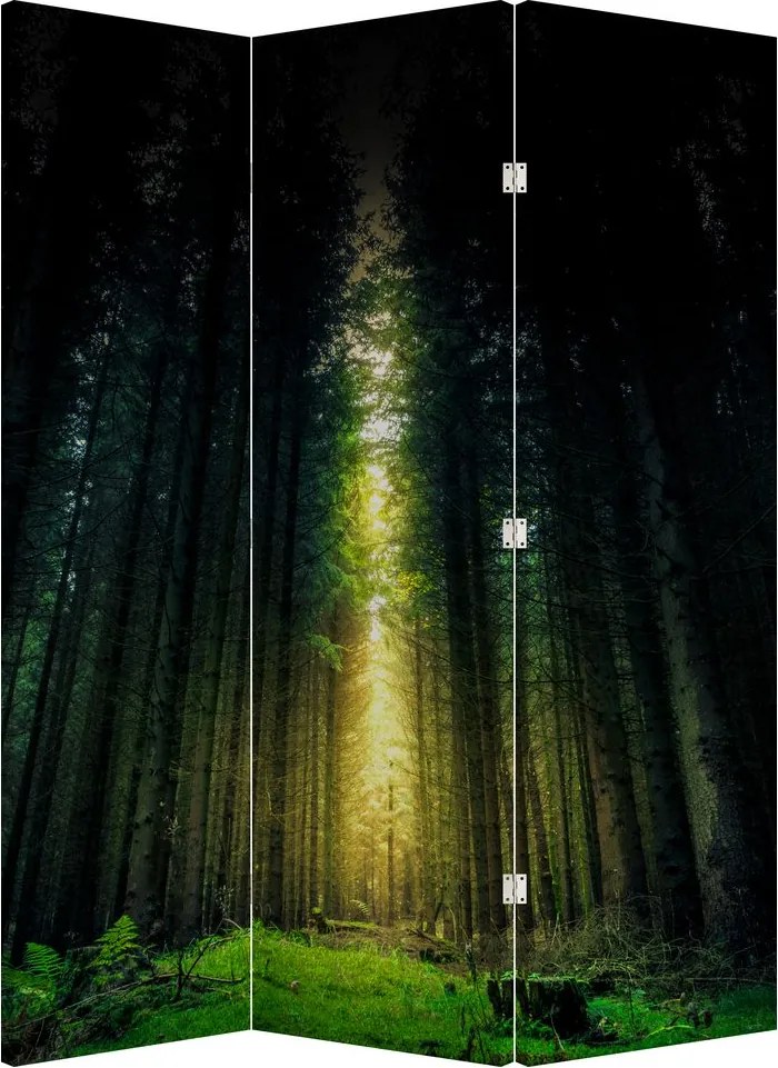 Paraván - Sötét erdő (126x170 cm)