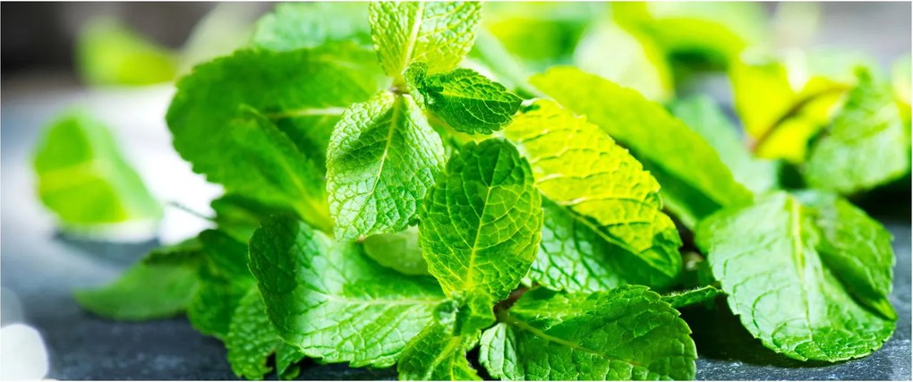 A menta képe (120x50 cm)