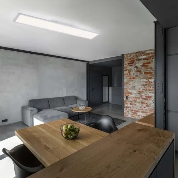 Leuchten Direkt 12204-16 - LED Mennyezeti lámpa FLAT LED/24W/230V