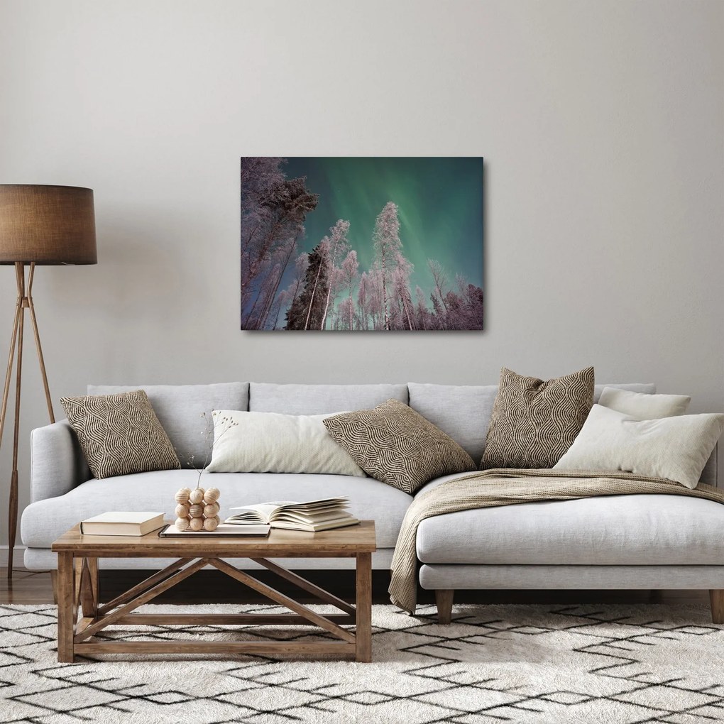 Az aurora borealis képe fagyos fák felett (70x50 cm)