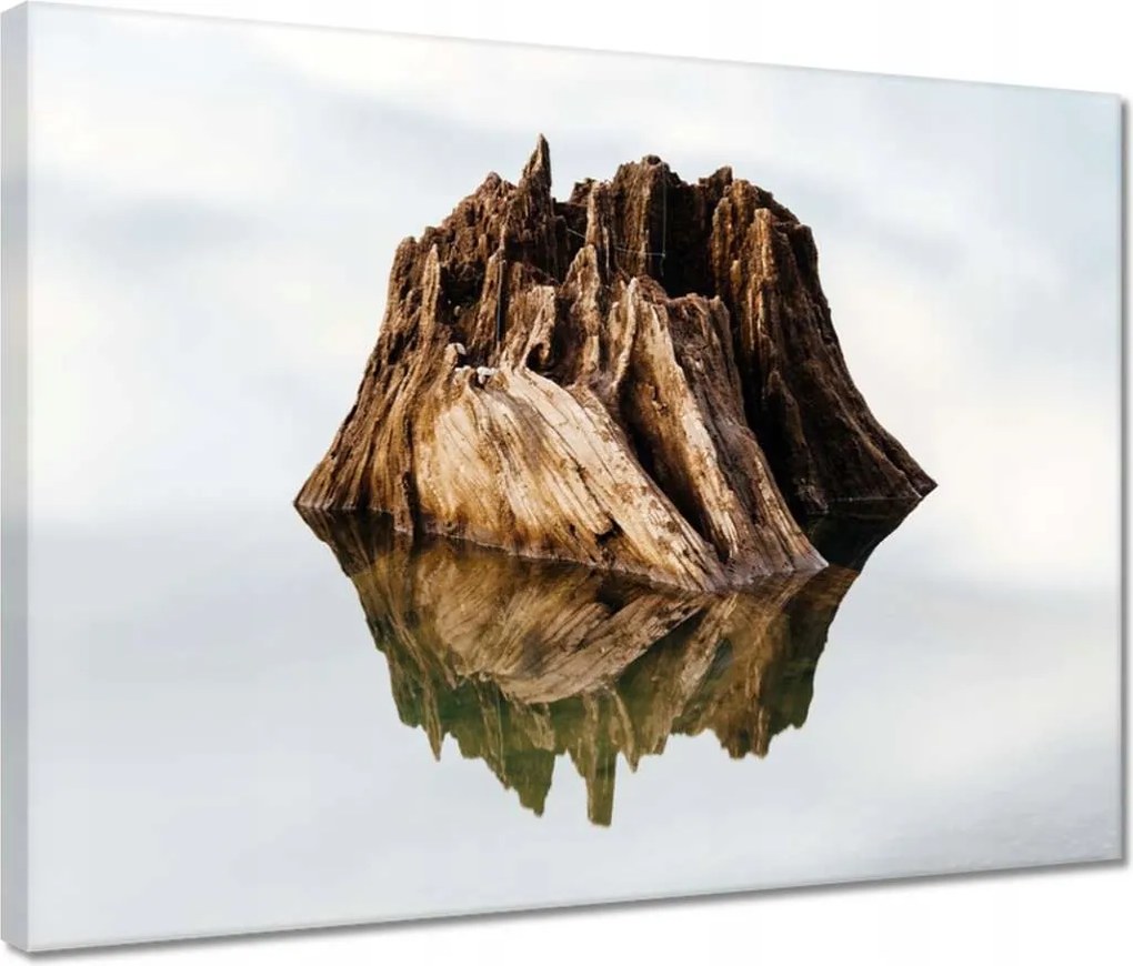 Vászonkép 40x30 Sziget a tavon