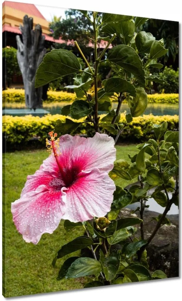 Vászonkép 70x100 Virágok