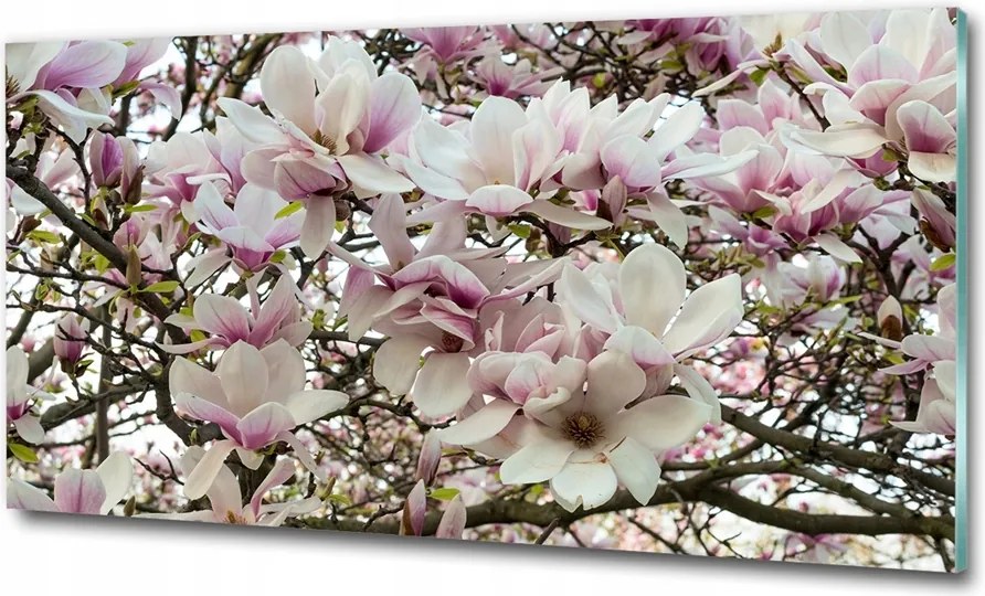 Fotótapéta üvegfalra Magnólia virágok 125x50