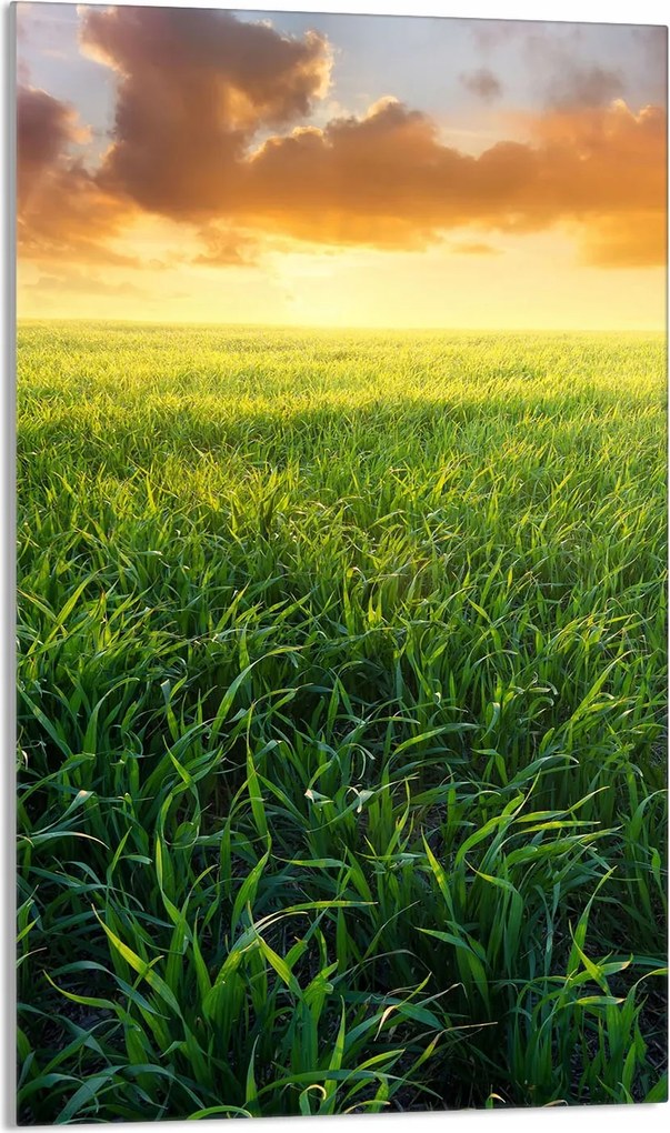 Üveg Vágódeszka 30x52 Kilátás a Konyhába