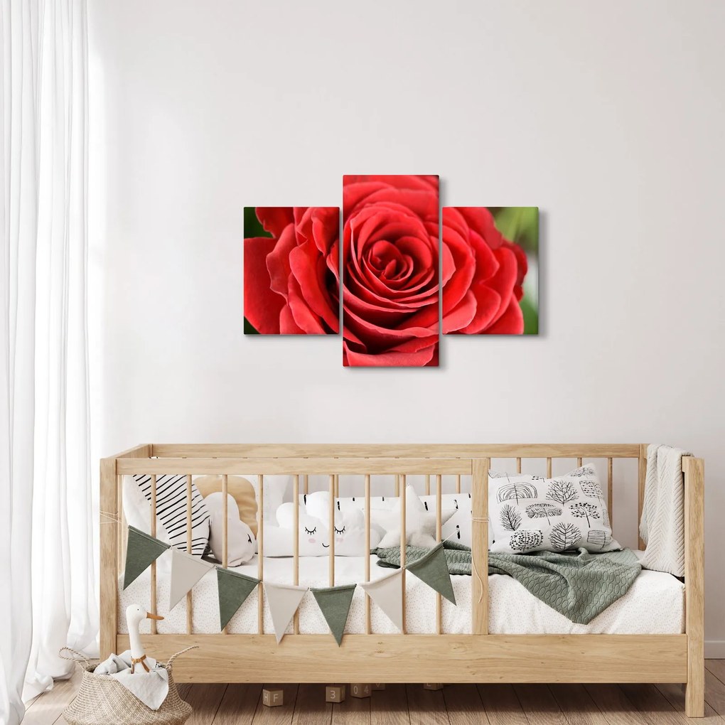 Egy rózsa virág képe (90x60 cm)