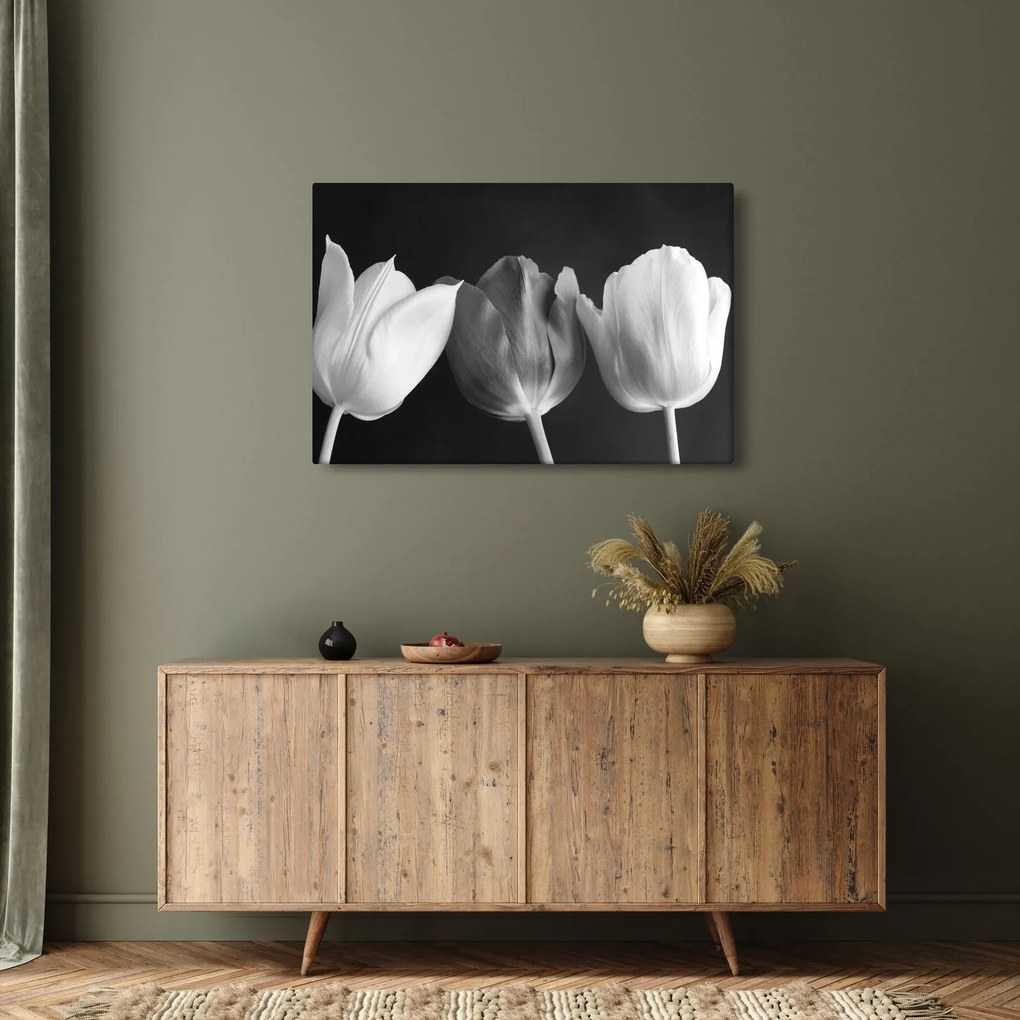 Kép - fekete-fehér tulipán virág (90x60 cm)
