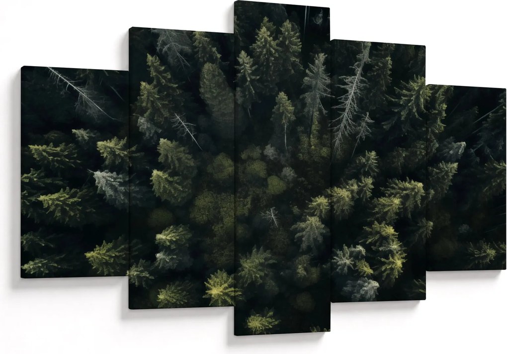 Kép - Forest (150x105 cm)