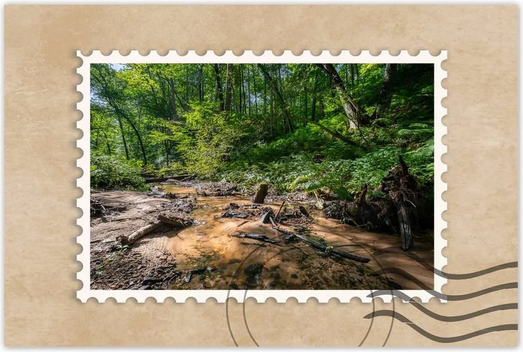 Poszterek 90x60 Folyó Trópusi erdő